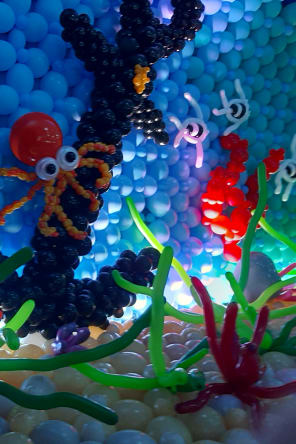 Foto 4 de Balloon Story Barcelona
