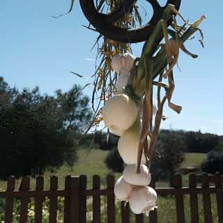 Surrealist Dining Experience in Farmhouse 15