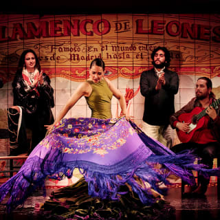 Experiencia Flamenca en la Puerta de Alcalá 2