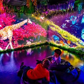Experiencia en el Museo Big Fun y el Museo de las Ilusiones 2