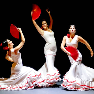 Teatro Flamenco Sevilla: Vive la experiencia del Flamenco 3