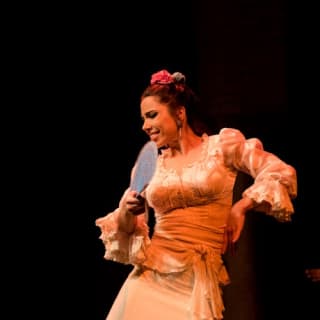 Museo del Baile Flamenco: Solo el espectáculo 20