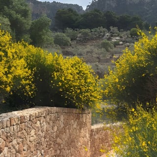 Valldemossa Tour and its Most Beautiful Viewpoints Easy Hike 17
