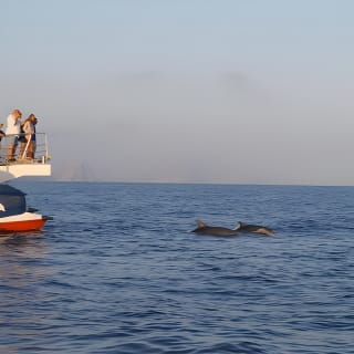 Sunrise Boat Trip in Mallorca with Dolphin-Watching 9