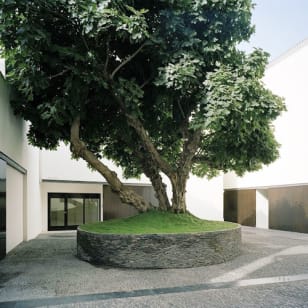 Museo Picasso Málaga: visita guiada
