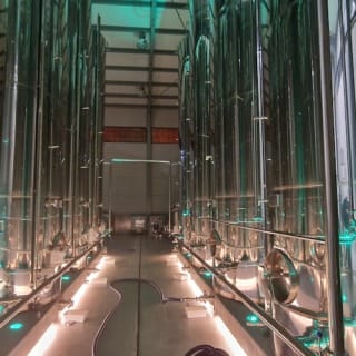 Mallorca: Visita guiada a Bodegas y Almazara + Catas + Traslado de ida y vuelta 17