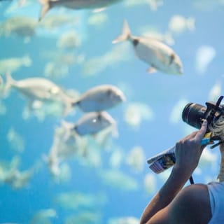 Palma Aquarium: Entrada gratuita + Cine Aquadome 3D opcional 47