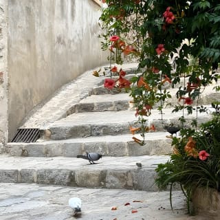 Valldemossa Tour and its Most Beautiful Viewpoints Easy Hike 9