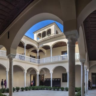 Museo Picasso Málaga: visita guiada 8