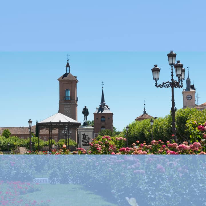 Visita Municipal Alcalá de Henares