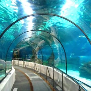 Entrada sin colas para SEA LIFE Benalmádena 2