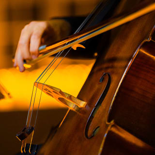 Paquete: Candlelight: Vivaldi y Las Cuatro Estaciones + Ballet of Lights 1