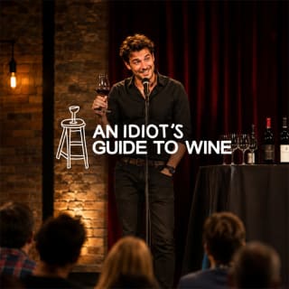 An Idiot’s Guide to Wine: Comedia entre copas 2