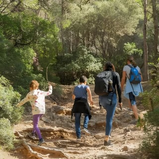 Sierra de Tramuntana hike with small picnic 21
