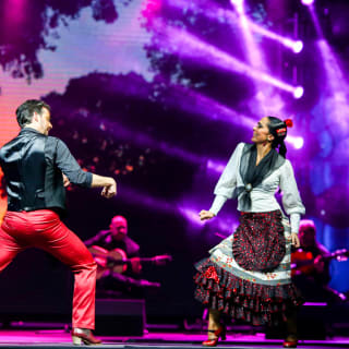 Teatro Flamenco Madrid: Vive la experiencia del Flamenco 2