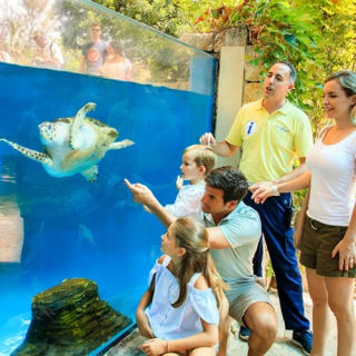 Palma Aquarium: Entrada gratuita + Cine Aquadome 3D opcional 14