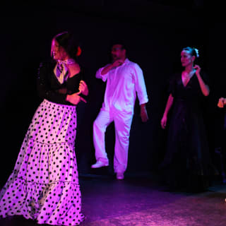 Tablao Opera Flamenca 4