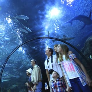 Loro Parque: Entrada 46