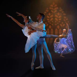 Ballet of Lights - Tarjeta Regalo 3