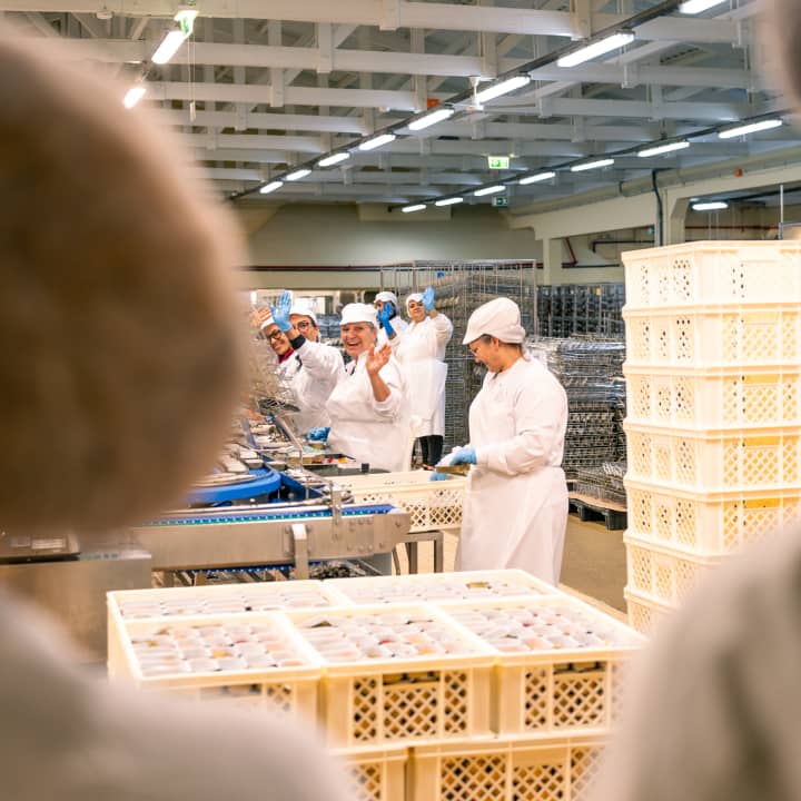 Conservas Pinhais Factory Tour: Experiencia guiada en inglés