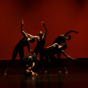 Espectáculos de danza