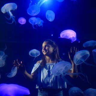 Palma Aquarium: Entrada gratuita + Cine Aquadome 3D opcional 41