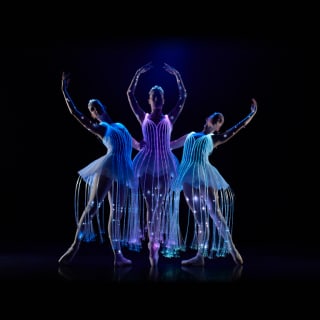 Ballet of Lights - Tarjeta Regalo 6