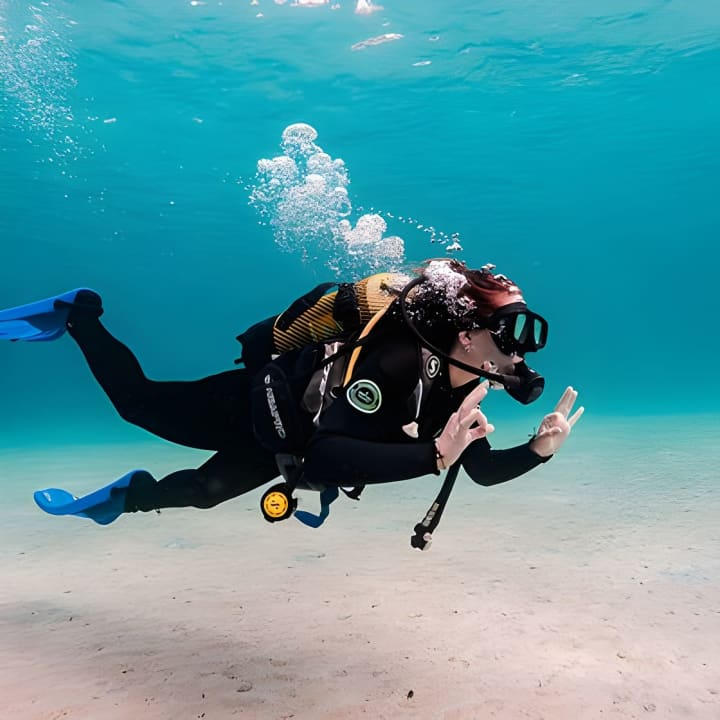Try Scuba Diving by Boat in Mallorca