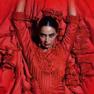 Teatro Flamenco Barcelona: Vive la experiencia del Flamenco 1