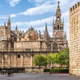 Reales Alcázares de Sevilla + Catedral de Sevilla: Visita guiada 22