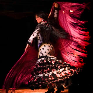 Show en el Tablao Flamenco 1911 + 1 Bebida de Bienvenida 1