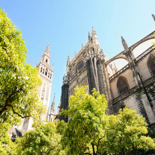 Tour Guiado a la Catedral de Sevilla 2