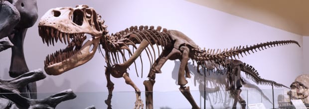 Museo Nacional de Ciencias Naturales
