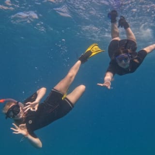 Tenerife: Experiencia guiada de snorkel 1