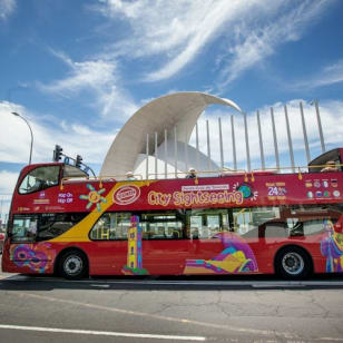Santa Cruz de Tenerife: Excursión en bus turístico Hop-on Hop-off de 24 ó 48 horas