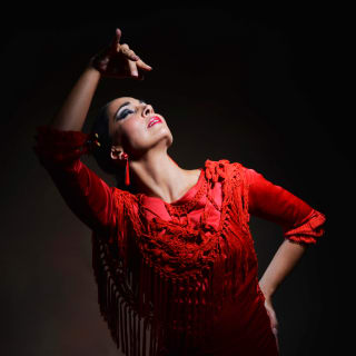 Teatro Flamenco Madrid: Vive la experiencia del Flamenco 3