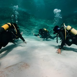 Try Scuba Diving by Boat in Mallorca 3