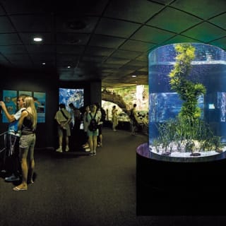 Loro Parque: Entrada 34