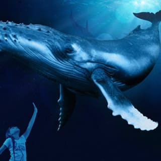 Palma Aquarium: Entrada gratuita + Cine Aquadome 3D opcional 25