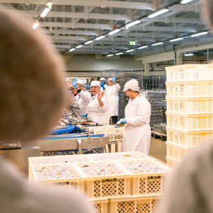 Conservas Pinhais Factory Tour: Experiencia guiada en inglés