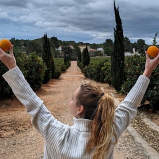Huerto Ribera: Visita guiada a un huerto de naranjos desde Valencia + degustación gastronómica 2