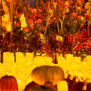 Candlelight: Clásicos de Halloween 5