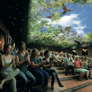 Loro Parque: Entrada 58