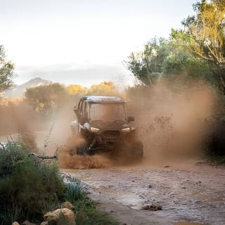 Buggy 2-seater and 4-seater Off-On Road Tour in Mallorca 16