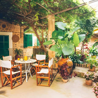 Guided Tasting Tour in 16th century House and Olive Oil Factory 1