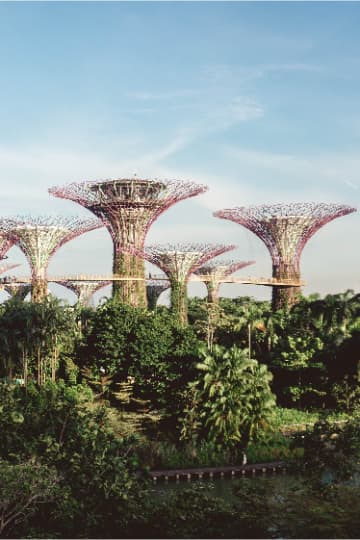 Singapur