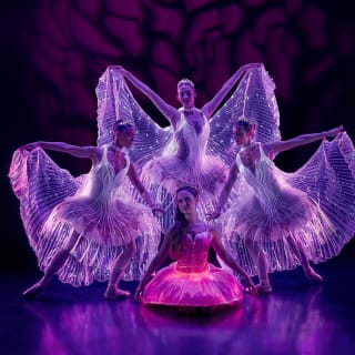 Ballet of Lights: La Bella Durmiente en un espectáculo deslumbrante 5