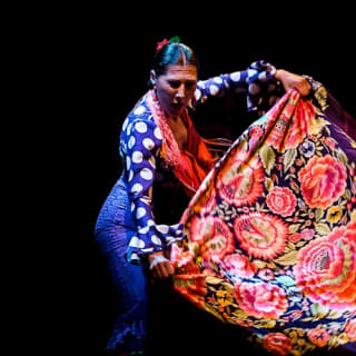 Museo del Baile Flamenco: Entrada + Puro Espectáculo Flamenco 27