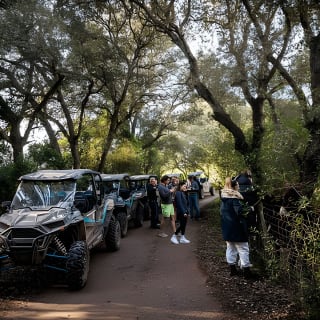 Buggy 2-seater and 4-seater Off-On Road Tour in Mallorca 11