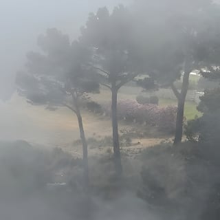Valldemossa Tour and its Most Beautiful Viewpoints Easy Hike 16